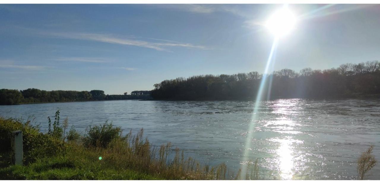 Apartament Urlaub Am Rhein Speyer Hockenheim Altlussheim Zewnętrze zdjęcie