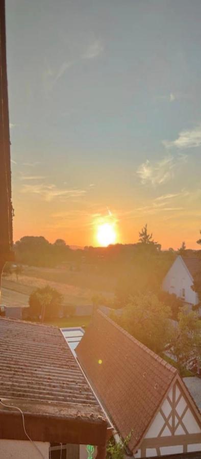 Apartament Urlaub Am Rhein Speyer Hockenheim Altlussheim Zewnętrze zdjęcie